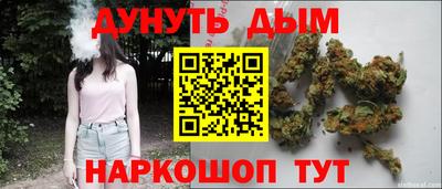 jwh Гатчина