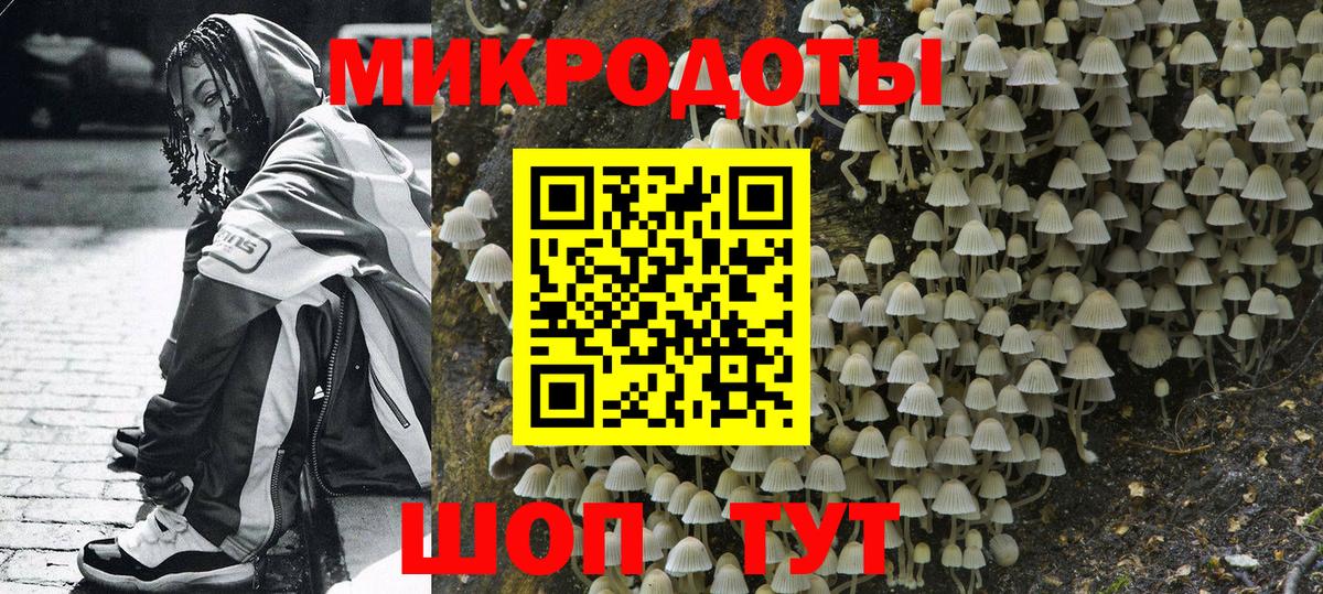Псилоцибиновые грибы Psilocybine cubensis  дарнет шоп  Москва  Псилоцибиновые грибы Psilocybe  Вход с VPN 