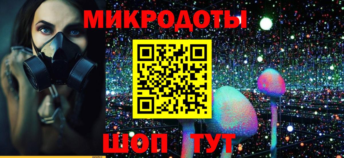 Псилоцибиновые грибы GOLDEN TEACHER Москва